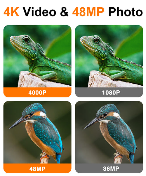 Trail Camera 4K 48MP WiFi Game Camera with Night Vision Motion Activated